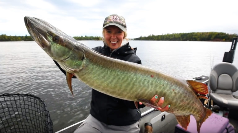 lake of the woods musky