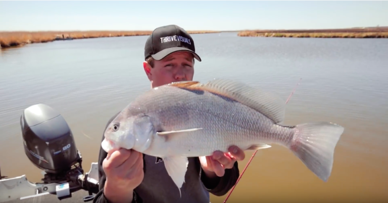 fishing for freshwater drum