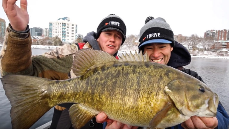 lake simcoe smallmouth