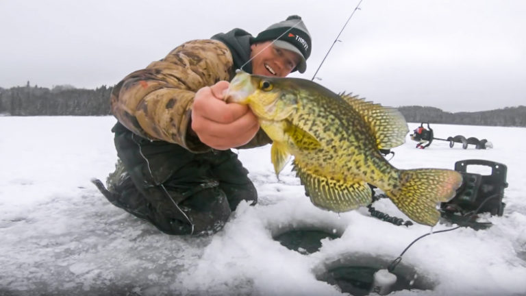 Ontario crappies