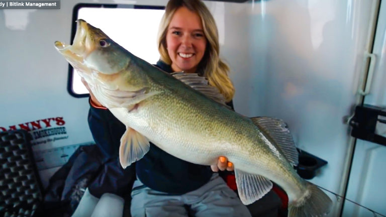 big lake Winnipeg walleye