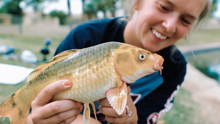 fishing for Chinese koi