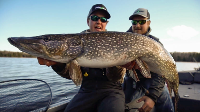 spring northern pike on lake of the woods