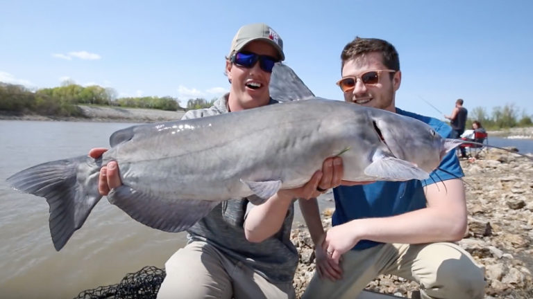 monster channel catfish