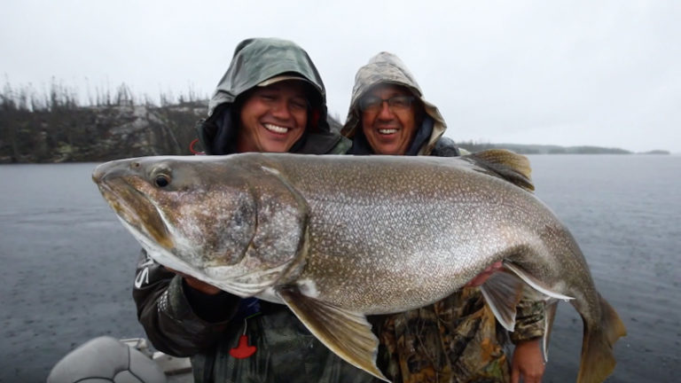 giant Manitoba lake trout