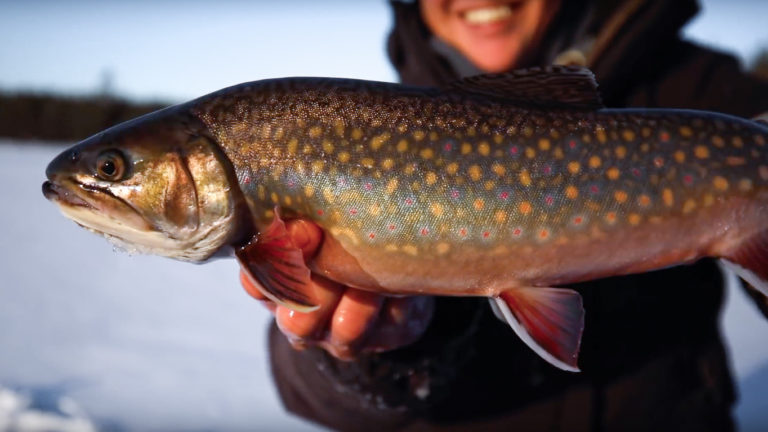 ice fishing for brook trout