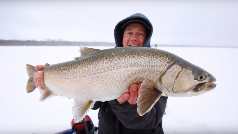 ice fishing for tiger trout