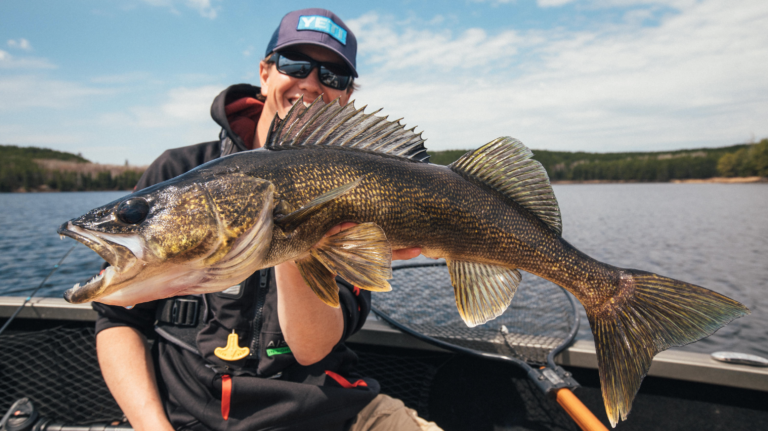 walleye fishing