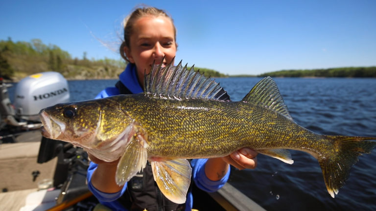 big walleye