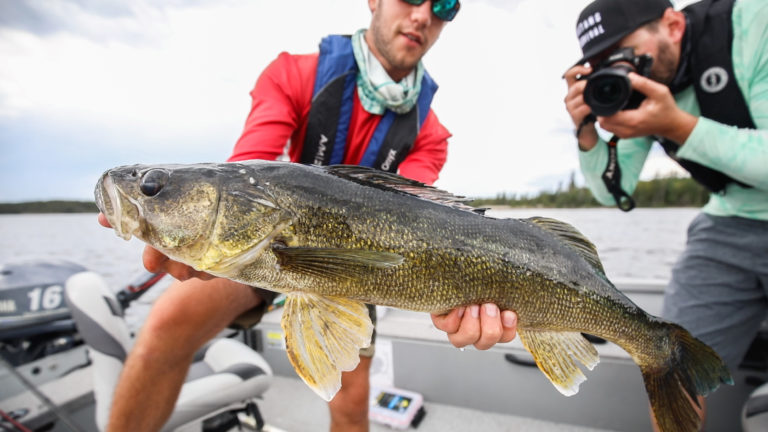 walleye fishing